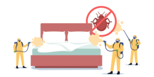 Bed Bug Prevention in San Diego County | Nixtermite Inc.