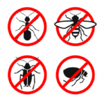 Who is the Best Pest Control Company in San Diego County? | Nixtermite Inc.