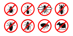 Who is the Best Pest Control Company in San Diego County? | Nixtermite Inc.