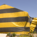 Termite Treatment Options in San Diego: Is Tent Fumigation the Best? | Nixtermite Inc.