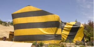 Termite Treatment Options in San Diego: Is Tent Fumigation the Best? | Nixtermite Inc.