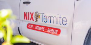 Pest Control Services in Chula Vista, CA | Nixtermite Inc.
