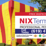 Think You Have a Termite Infestation_ Take These Four Steps | Nixtermite Inc.