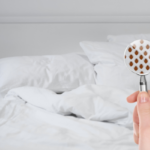Why are Bed Bugs So Difficult to Eradicate from Homes? | Nixtermite Inc.