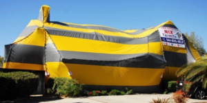 When to Consider Termite Fumigation for Your Clairmont Home | Nixtermite Inc.