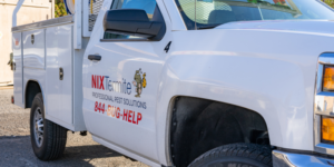 The Best Pest Control Services in Del Mar, CA | NixTermite Inc.