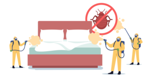 What are the Best Treatment Options for Bed Bugs? | NixTermite Inc.