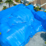 Is Tent Fumigation the Best Solution to Eliminate Termites from My Home?
