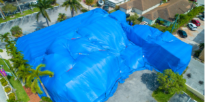 Is Tent Fumigation the Best Solution to Eliminate Termites from My Home?