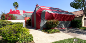 The Best Termite Company for Tent Fumigation in La Mesa, CA